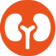 kidney